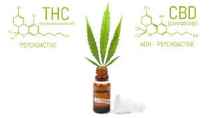 CBD cannabis oil with dropper, green hemp leaf in bottle. Marijuana products isolated white background. Medical concept