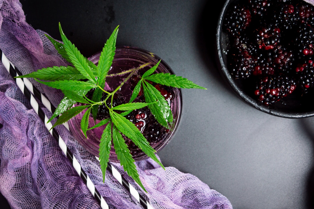 Water with fresh, ripe blackberries and cannabis. Refreshing, relaxing non-alcoholic cocktail on hot summer days. In a glass cup on decorative dark background. With striped drinking straws and blackberries in a bowl. Directly above